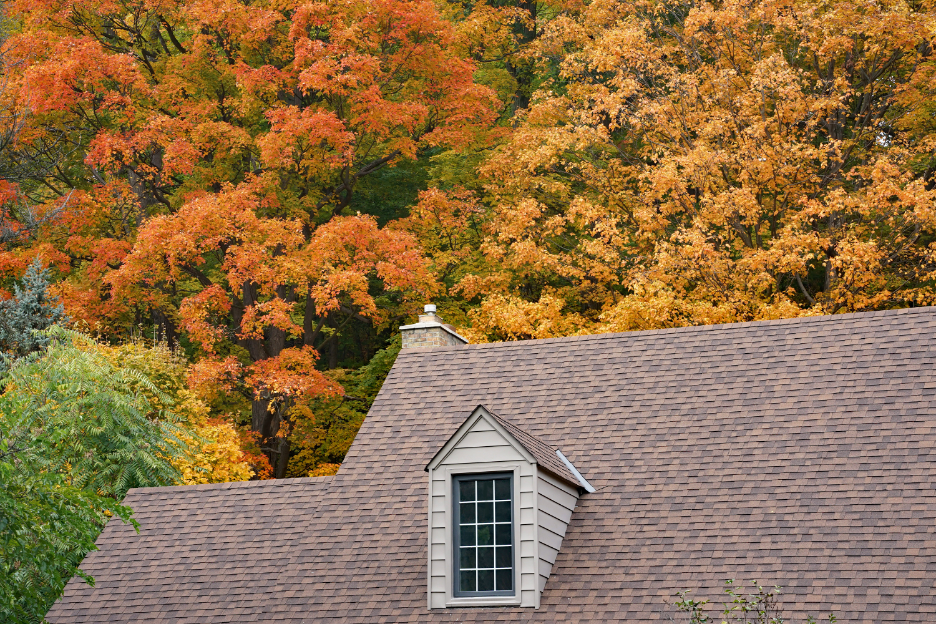 Residential Roofing Company in Crown Point, Indiana