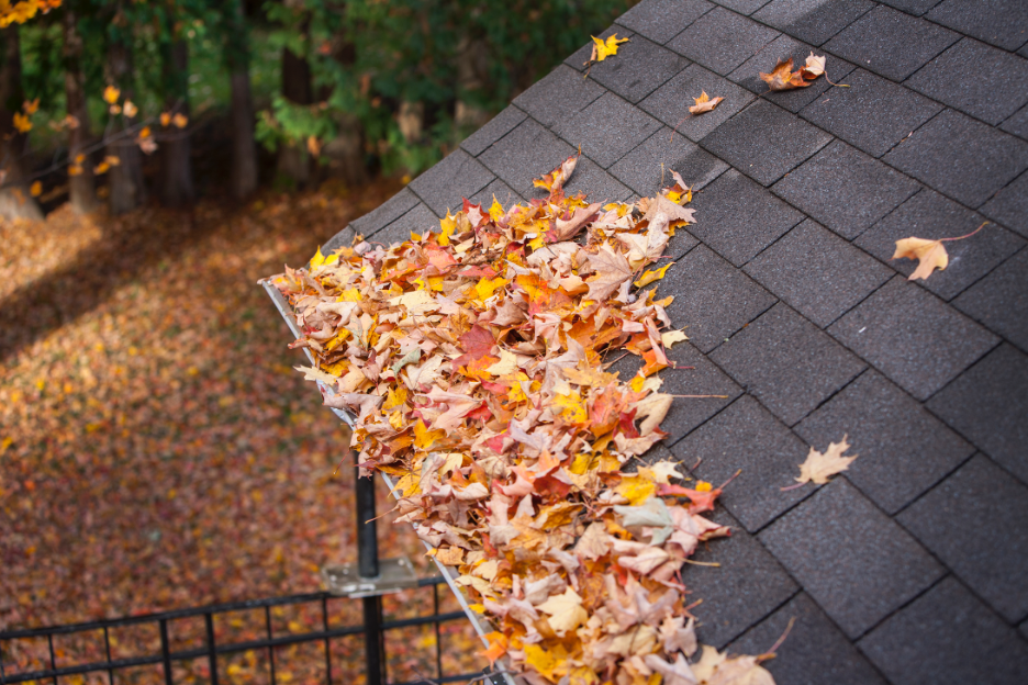 Roof Repair Contractor in Munster, Indiana
