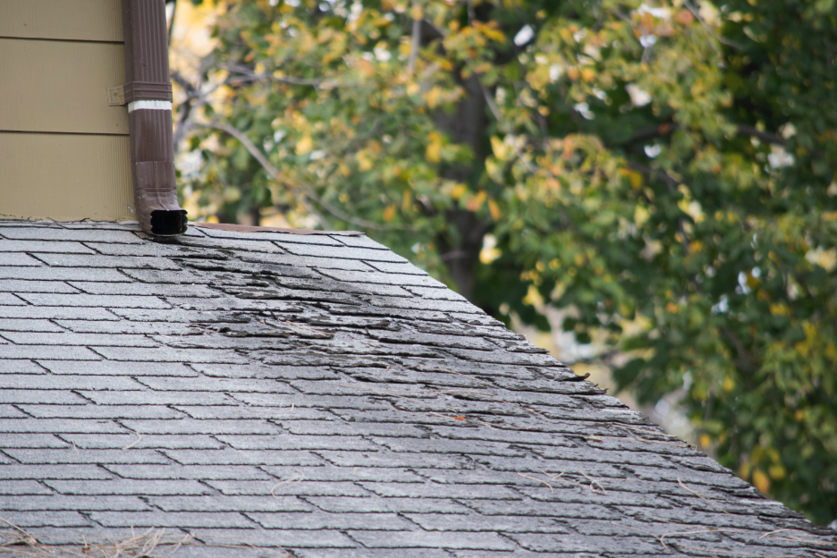 Roof Replacement Company in Highland, Indiana